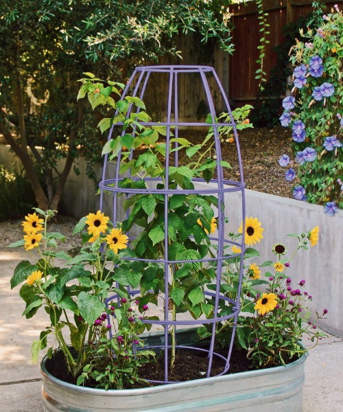 welded rebar garden plant cage